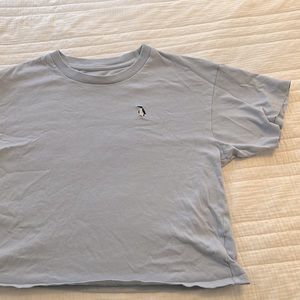 Cropped American Eagle Top